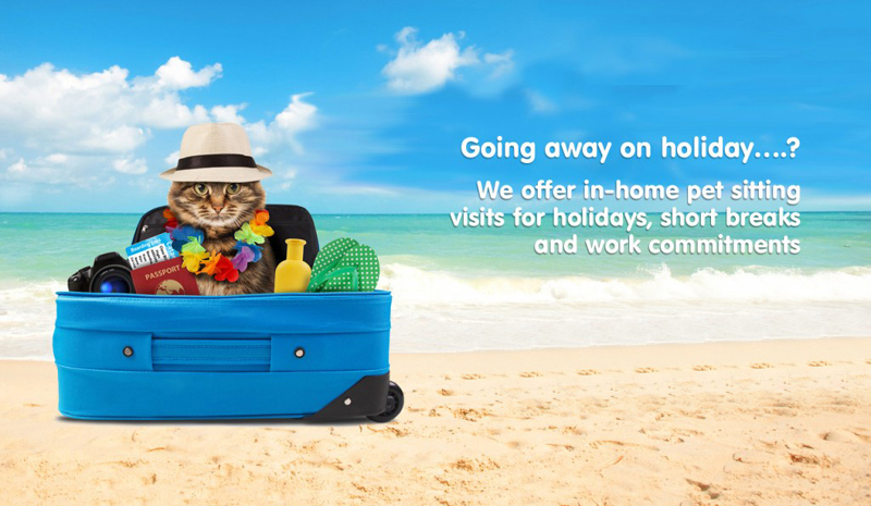 Cat sitter Bollington