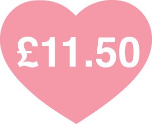 Cat sitting service Macclesfield
